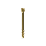 2.5mm Cannulated Herbert Screw, Short Thread, (Star Head)