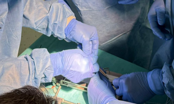 Close-up of surgeons' gloved hands performing a surgical procedure on a patient.