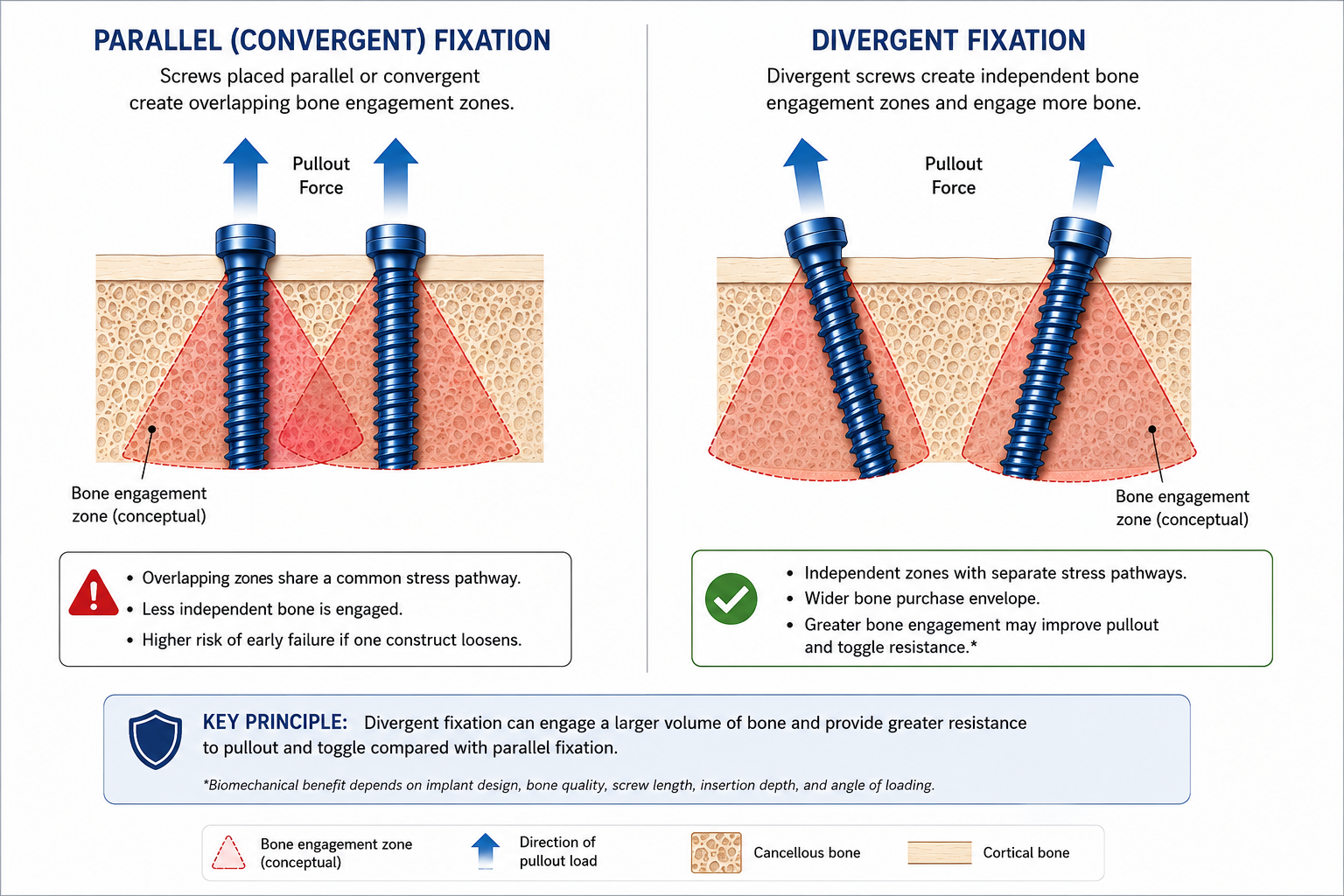 Side-by-side illustration comparing parallel (left) and divergent (right) fixation with two screws showing pullout forces and bone engagement zones for each method.