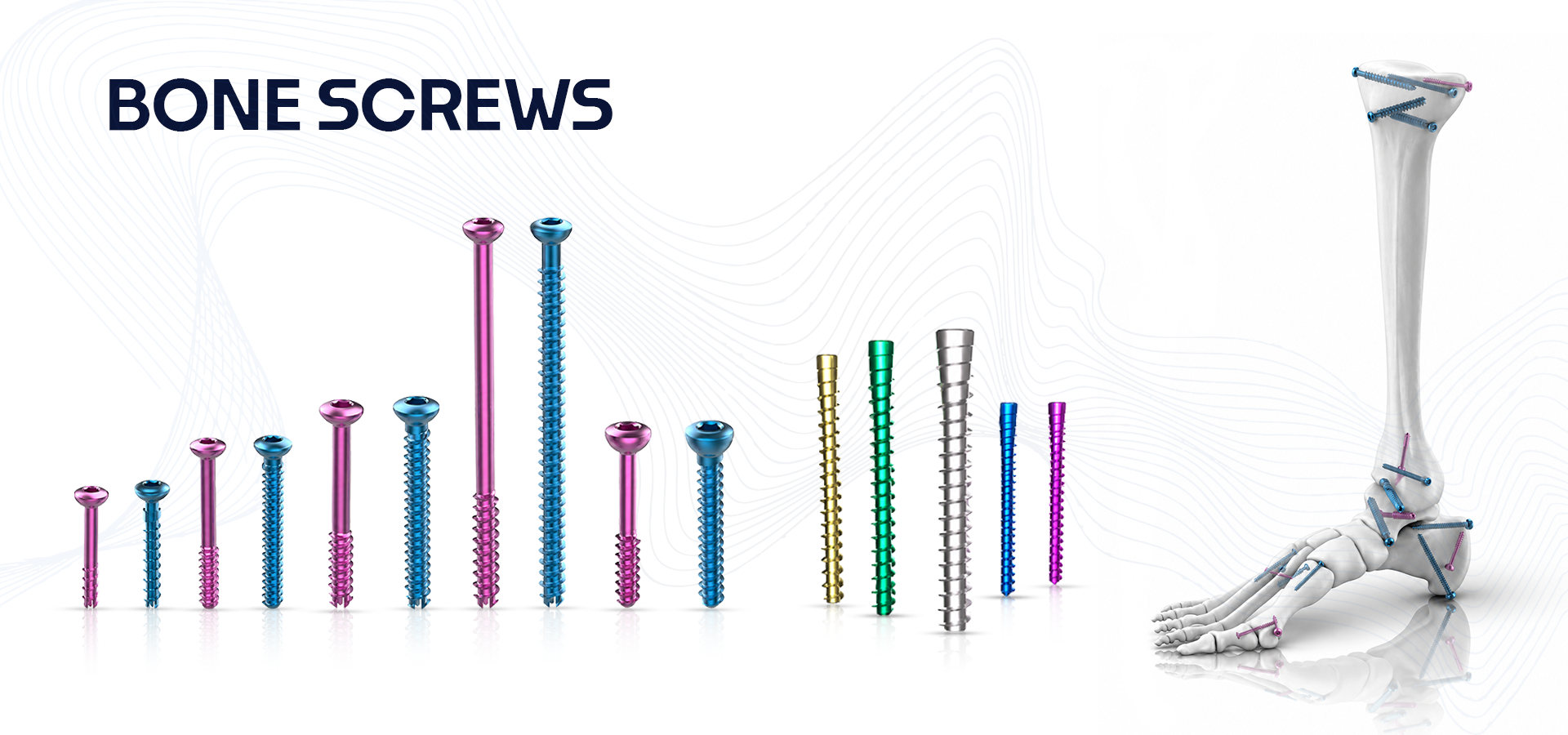 Colorful assortment of bone screws lined up across a white background with a skeletal leg showing screws implanted—title 'BONE SCREWS' suggests orthopedic hardware.